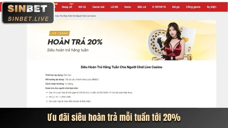 Chương trình VIP b66 info
