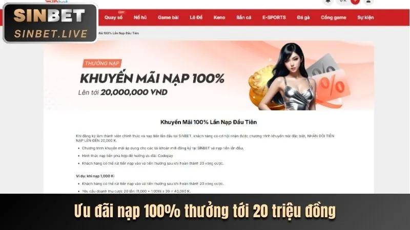 Ưu Đãi & Khuyến Mãi b66 info